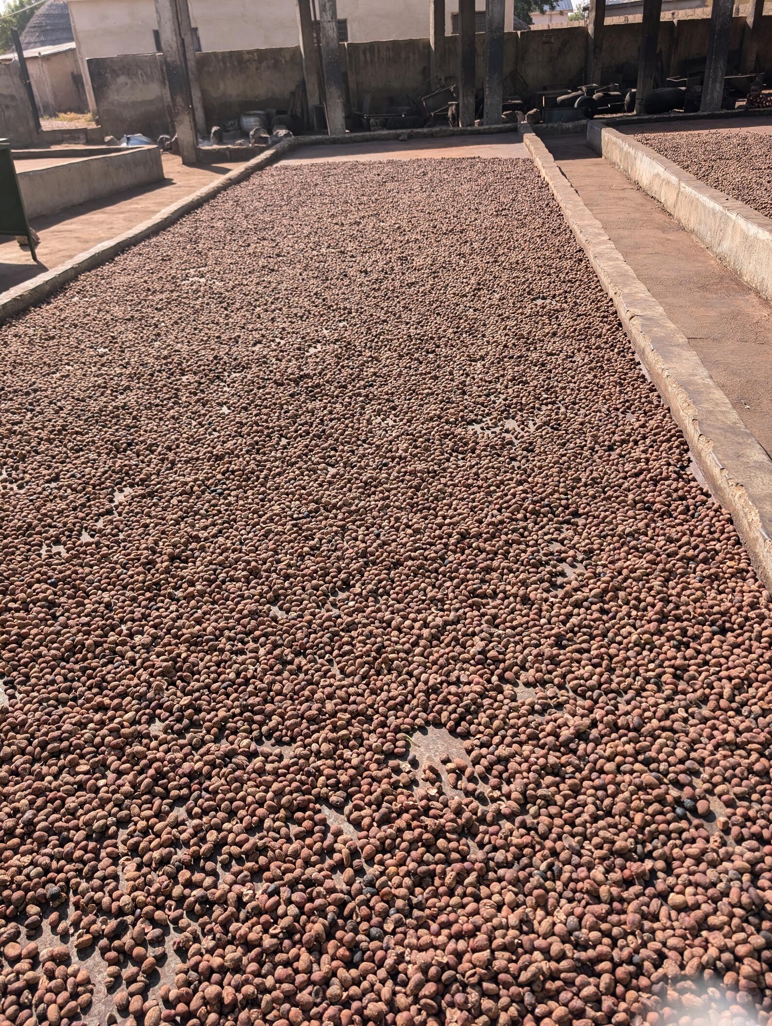 Raw Shea Body Butter - Image 4